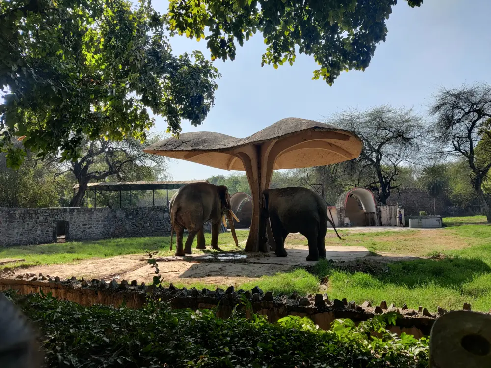 Zoo Visit