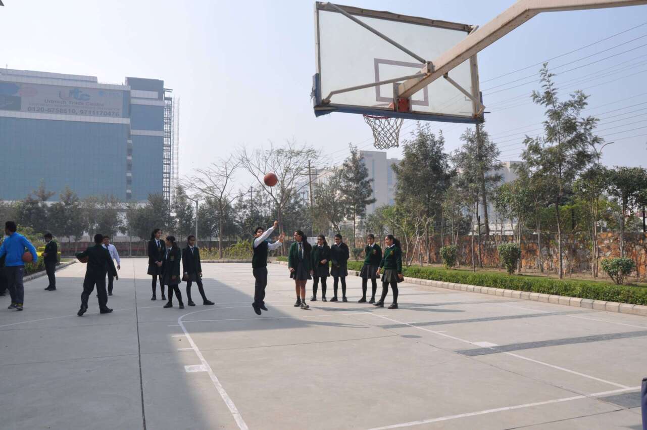 Basket Ball Court